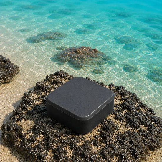 Salt & Timber | Certified Grass Fed Tallow Shampoo Bar Blind Pirate Trading Co.