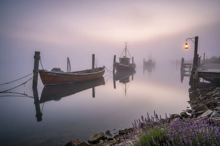 Misty dawn harbor, wooden boats moored in still purple water, lantern glowing on the dock. Blind Pirate Trading Co.